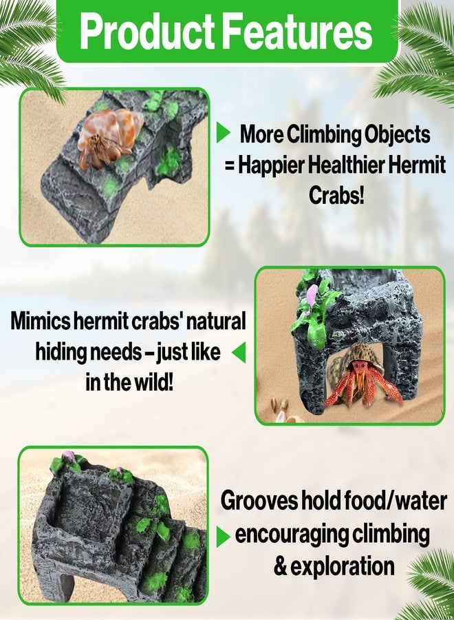Mtuiewo Hermit Crab Climbing Toys with Water Bowl, Hermit Crab Accessories, Resin Material Climbing Ramp with Feeding Tweezer, Tank Decor for Small Reptiles Habitat(5.11 x 2.16 x 1.77inches) - Image 4